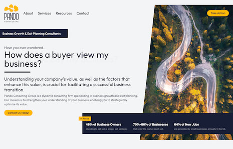 Pando Consulting Group Website Design by Efinitytech Seattle