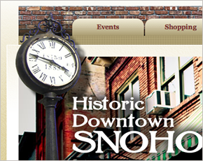 portfolio snohomish