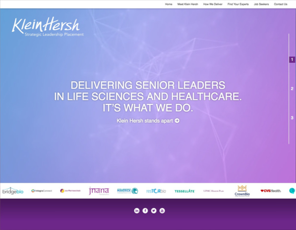 Klein Hersh Website Design by Efinitytech Seattle