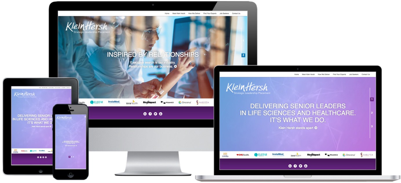 Klein Hersh Website Design by Efinitytech Seattle