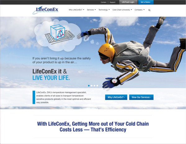 LifeConEx Website Design by Efinitytech Seattle