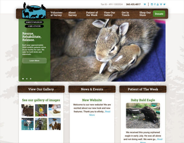 Sarvey Wildlife Website Design by Efinitytech Seattle