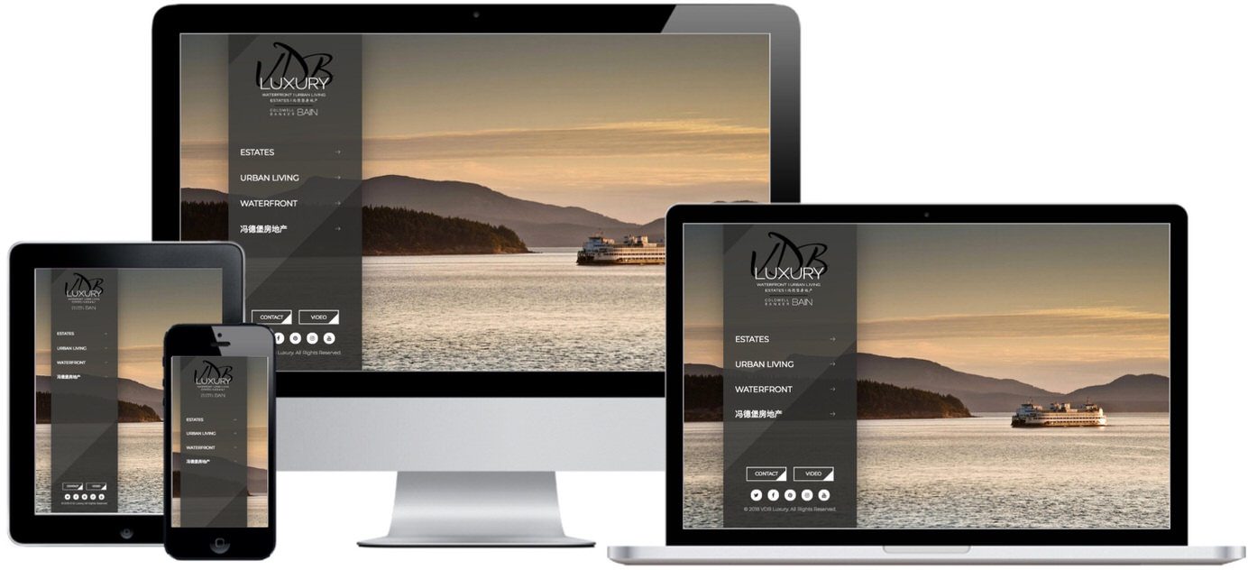 VDB Luxury Website Design by Efinitytech Seattle